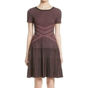 St. John Atlantis fit & flare red black striped dress 8